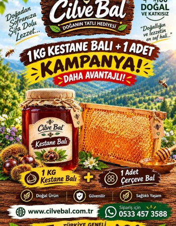 Kestane Balı + Çerçeve Bal