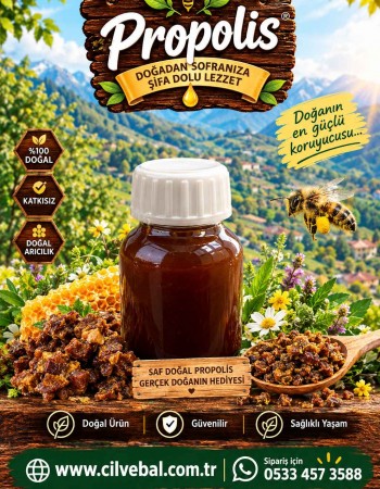 Propolis Propolis